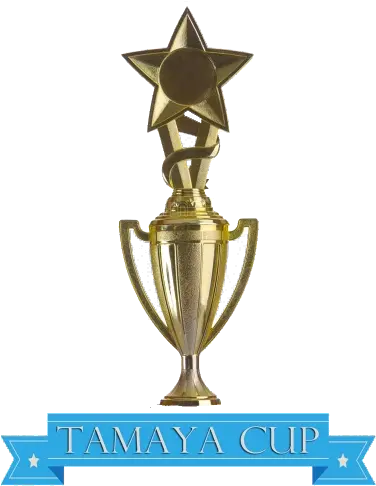  Download Super Bowl 2 Trophy With A Star Png Super Bowl Trophy Png