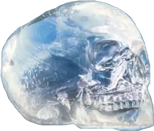  The Crystal Skull Mitchell Hedges Crystal Skull Crystal Png Transparent Skulls