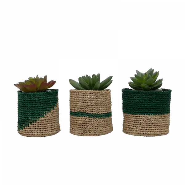  Shop Green Mini Planter Baskets Set Of 3 Online Maison Flaneur Flowerpot Png Planter Png