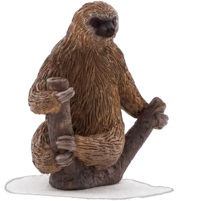  Download Hd Two Toed Sloth Animal Planet Two Toed Sloth Collecta Sloth Png Sloth Transparent