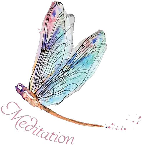  Meditation Pinksky Damselfly Png Meditation Transparent