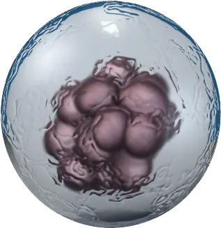  Stem Cells Embryonic Stem Cells Png Cell Png