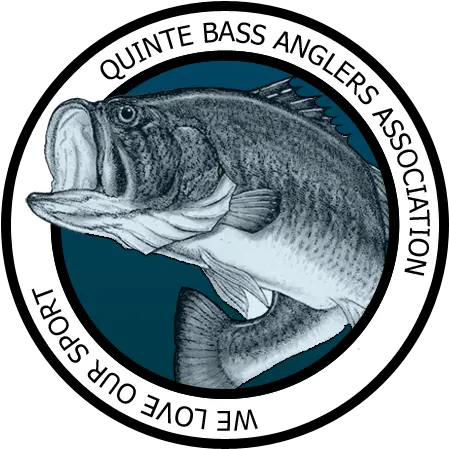  Quinte Bass Anglers Fishing Club Fish Bass Png Bass Fish Logo