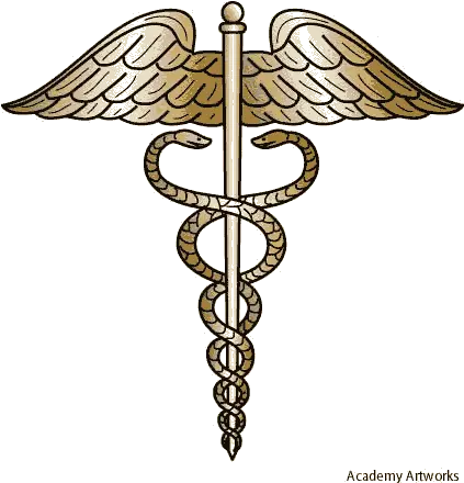  Medical Symbol Snake Tattoo Universal Health Care Symbol Sumerian Double Helix Png Snake Tattoo Transparent