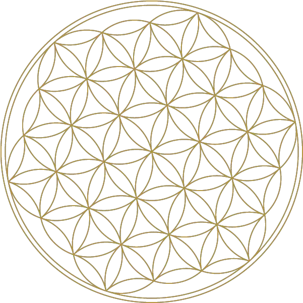  Flower Of Life High Resolution Sacred Geometry Flower Of Gold Flower Of Life Transparent Png Sacred Geometry Png