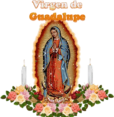  Virgen Guadalupegifs4thumb Misiones Catolicas De Lengua Virgen De Guadalupe Art Png Virgen De Guadalupe Png