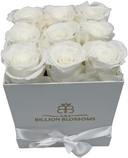  Medium Square White Roses Garden Roses Png White Rose Icon