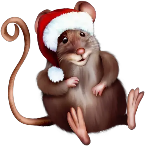  Tubes Animaux Varies Png Mouse In Santa Hat Cartoon Santa Hat Png