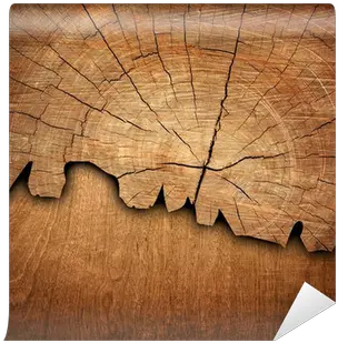  Cracked Wood Board Wall Mural U2022 Pixers We Live To Change Plywood Png Wood Board Png