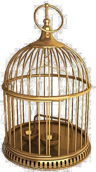  Golden Cage Png Download Image Real Old Fashioned Bird Cages Cage Transparent