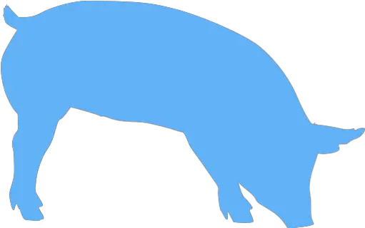  Tropical Blue Pig 7 Icon Free Tropical Blue Animal Icons Silhouette Of A Pig Transparent Png Free Pig Icon