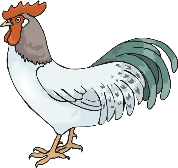  Farm Rooster Clip Art Rooster Clipart Transparent Rooster Png Clipart Rooster Png