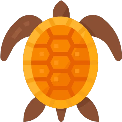  Turtle Free Animals Icons Tortoise Png Sea Turtle Icon