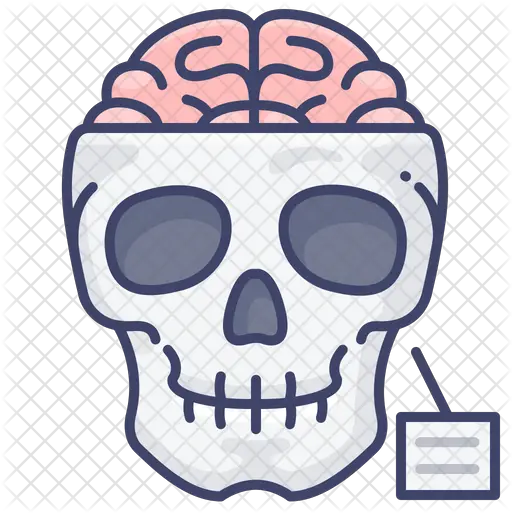  Skull Icon Skull Png Skull Head Png