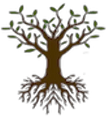  Stephen Ziadie Roothospitality Twitter Decorative Png Apple Tree Icon