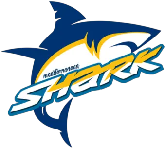  Mediterranean Shark Citadel Mall Charleston Sc Shark Logo Png Shark Logo Png