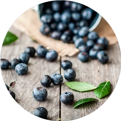  Berryco Bilberry Png Berries Png