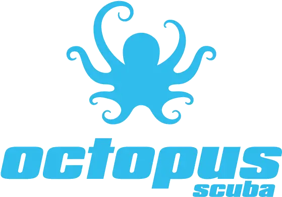  Scuba Marketing U0026 Design 50bar Inspired By The Ocean Illustration Png Octopus Logo