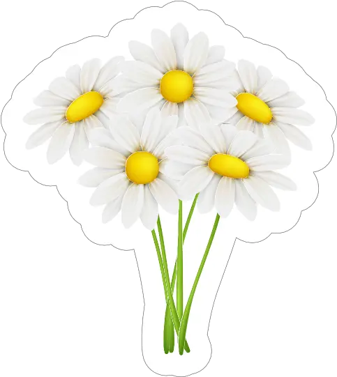  White Daisy Flower Sticker Lovely Png White Daisy Png