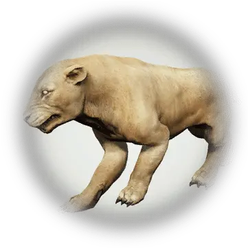  Lion Meat Bdo Codex Animal Figure Png Lions Icon