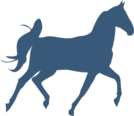  Horse Trotting Silhouette Transparent Png U0026 Svg Vector File Trotting Horse Svg Horse Silhouette Png