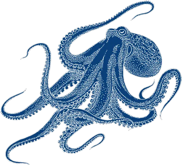  Clipart Octopus Watercolor Octopus Drawing Png Octopus Png