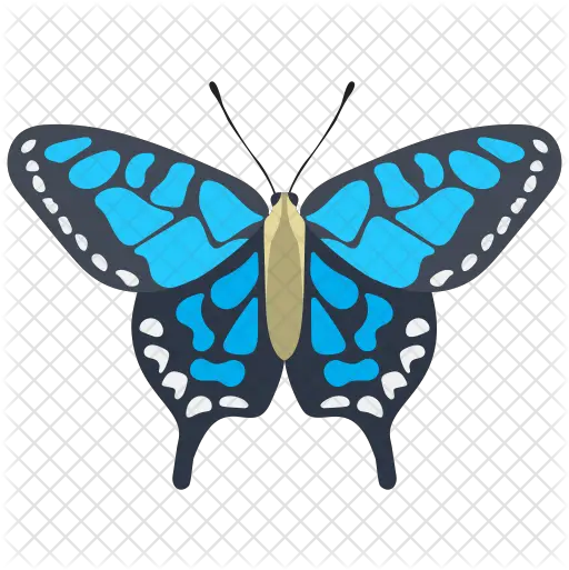  Adonis Blue Butterfly Icon Butterfly Png Blue Butterflies Png