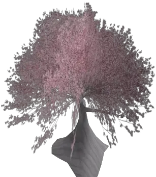  Cherry Blossom Tree Roblox Tree Png Cherry Tree Png