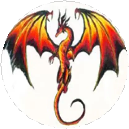  Fire Dragon Roblox Dragon Fire Cool Drawings Png Fire Dragon Icon