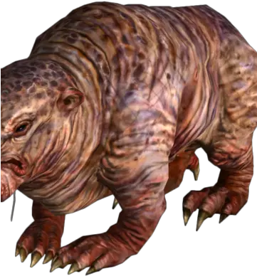  Mole Rat Fallout 3 Wiki Fandom Fallout Mole Rat Png Rat Transparent Background