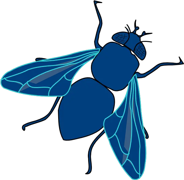  Download Fly Png Transparent Image Clipart