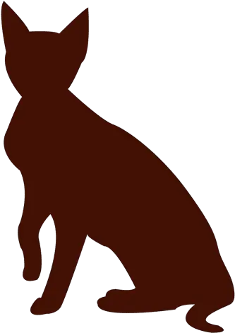  Cat Silhouette Pet Transparent Png U0026 Svg Vector File Brown Cat Silhouette Cat Silhouette Png