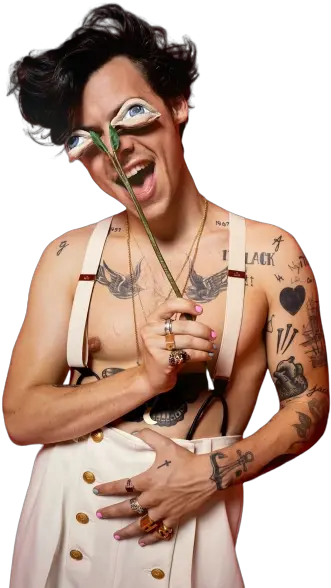  Harrystyles Harry Styles Sticker Harry Styles Tatuagens 2020 Png Harry Styles Png