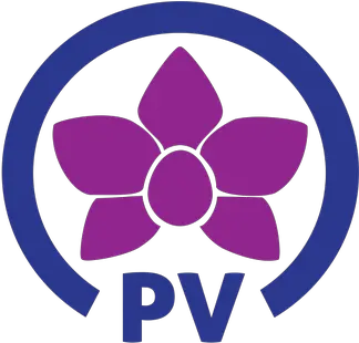  Peoples Voice Singapore Election Parties 2020 Png Google Voice Logo