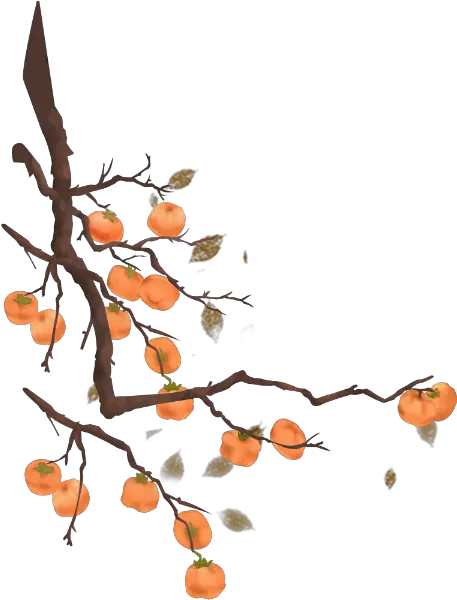  Free Online Persimmon Tree Plant Vector For Persimmon Tree Vector Png Tree Graphic Png