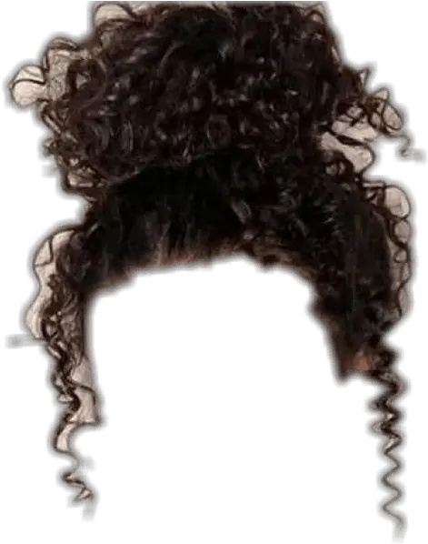  Curly Bun Hair Messy Bun On Mixed Girls Png Wavy Hair Png