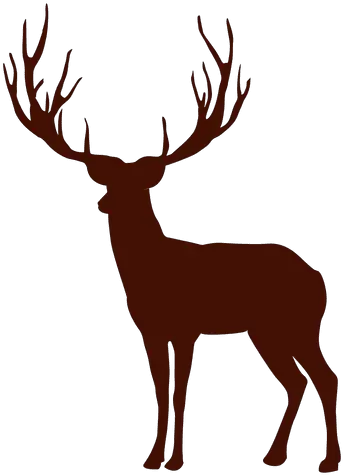  Deer Silhouette Transparent Png U0026 Svg Vector File Deer Png Vector Deer Head Png