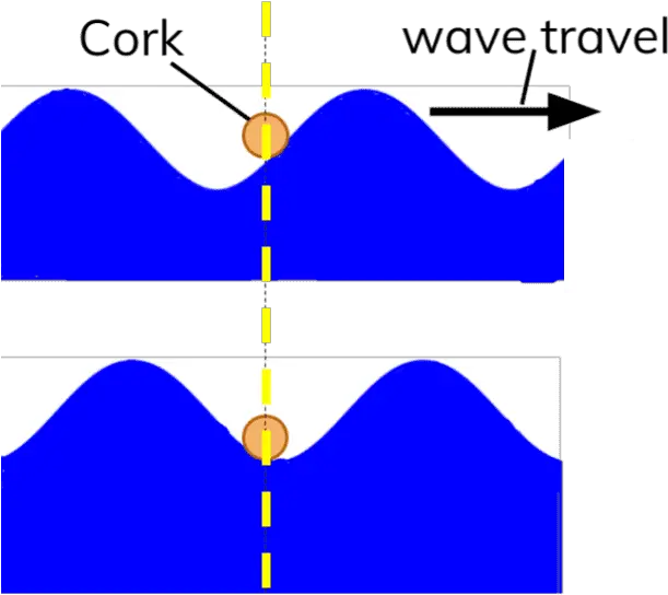  Diagram Showing Transverse Water Diagram Of Transverse Wave No Background Png Water Wave Png