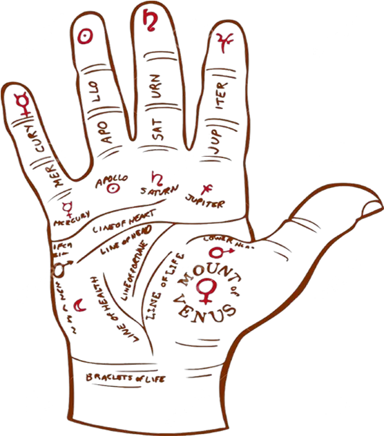  Best Palmist Astrologer Palm Reader Palmistry Services Psychic Palm Reading Png Hand Palm Png