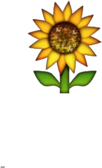  Download Hd Transparent Background Sunflower Emoji Sunflower Emoji Transparent Background Png Sunflower Transparent Background