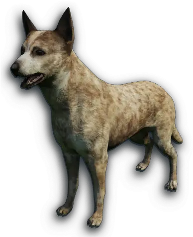  Canidae Far Cry Wiki Fandom Dingo Pelt Far Cry 3 Png Mad Dog Png