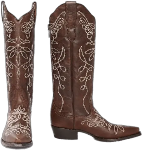  Stetson Womens Boots Transparent Png Transparent Background Cowboy Boots Png Cowboy Boot Png