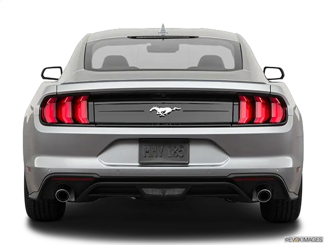  2022 Ford Mustang Ecoboost Fastback Driving Ford Mustang 2022 Back View Png 2016 Mustang Convertible Ecoboost Engine Icon