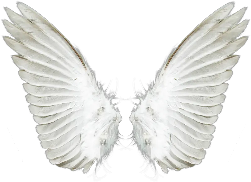  Download Free Png White Angel Wings Transparent Background Angel Wings Png Angel Wings Png