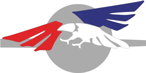  Patriotic Group Illustration Png Patriotic Logos