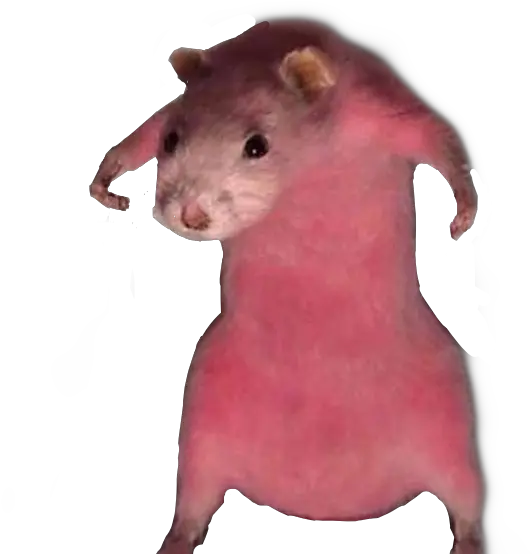  Rats Rat Ratatouille Sticker By Abreeze All Rats From Ratatouille Png Rat Transparent Background