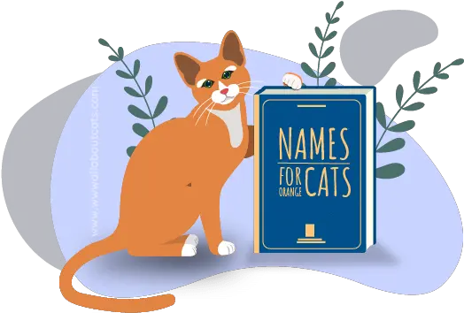  Male Female Illustration Png Orange Cat Png