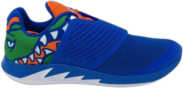  Jordan Grind 2 Florida Gators For Sale Ebay Round Toe Png Florida Gator Icon