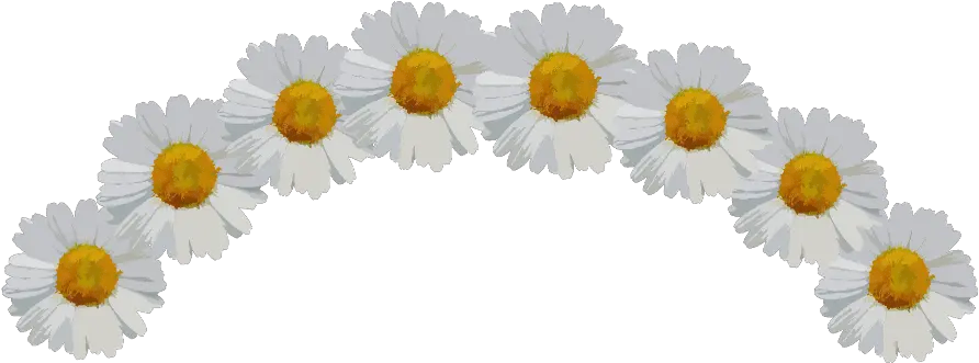  Download Ftestickers Sticker Daisy Flower Crown Png Full Flower Crown Png Transparent Sticker Flower Crown Png