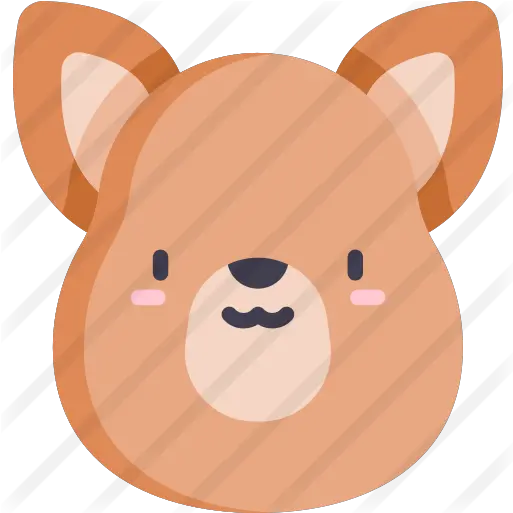  Kangaroo Free Animals Icons Cartoon Png Kangaroo Transparent
